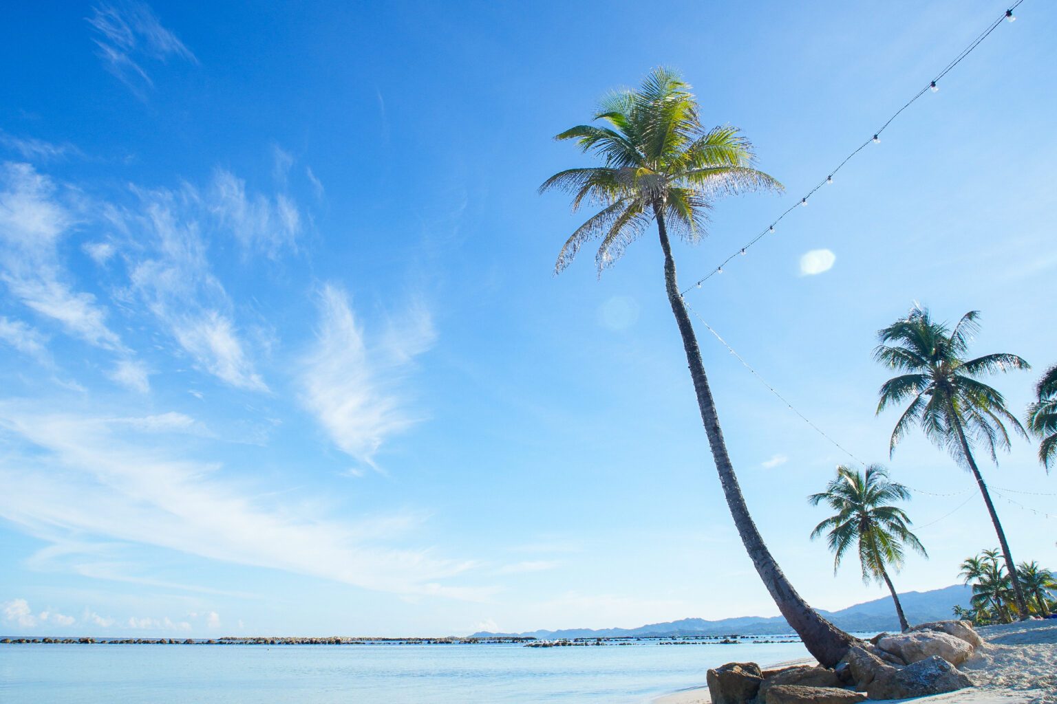 Palmera inclinada sobre la playa de arena blanca y el mar Caribe en Playa Escondida, Colón